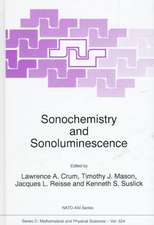 Sonochemistry and Sonoluminescence