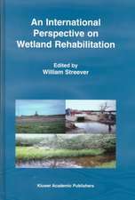 An International Perspective on Wetland Rehabilitation