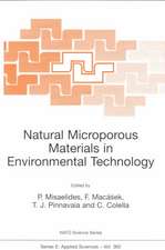 Natural Microporous Materials in Environmental Technology