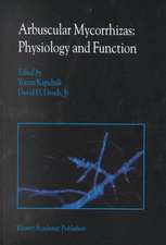 Arbuscular Mycorrhizas: Physiology and Function