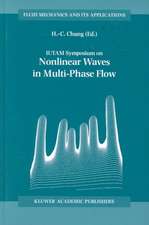 IUTAM Symposium on Nonlinear Waves in Multi-Phase Flow: Proceedings of the IUTAM Symposium held in Notre Dame, U.S.A., 7–9 July 1999