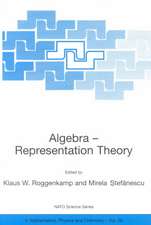 Algebra - Representation Theory