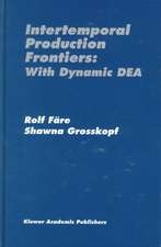 Intertemporal Production Frontiers: With Dynamic DEA