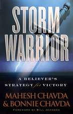 Storm Warrior – A Believer`s Strategy for Victory