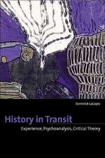 History in Transit – Experience, Identity, Critical Theory