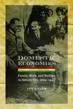 Domestic Economies: Family, Work, and Welfare in Mexico City, 1884-1943