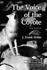 The Voice of the Coyote