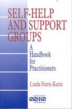 Self-Help and Support Groups: A Handbook for Practitioners