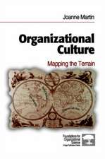 Organizational Culture: Mapping the Terrain