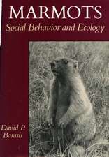 Marmots: Social Behavior and Ecology