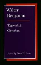 Walter Benjamin: Theoretical Questions