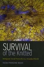 Survival of the Knitted: Immigrant Social Networks in a Stratified World