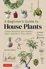 A Beginner's Guide to House Plants