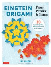 Einstein Origami Paper Puzzles & Games