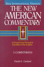 2 Corinthians: An Exegetical and Theological Exposition of Holy Scripture