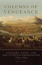 Columns of Vengeance: Soldiers, Sioux, and the Punitive Expeditions, 1863-1864