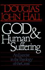 God and Human Suffering: Foundations for a Christian Approach in Justice