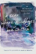 Scar Where Goodbyes Are Written