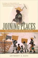 Joining Places: Slave Neighborhoods in the Old South