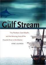 The Gulf Stream: Tiny Plankton, Giant Bluefin, and the Amazing Story of the Powerful River in the Atlantic