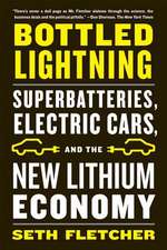 Bottled Lightning: Superbatteries, Electric Cars, and the New Lithium Economy