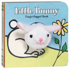 Little Bunny Finger Puppet Book [With Finger Puppet]: The Hidden Fantasy Rooms of Japan