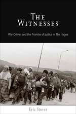 The Witnesses – War Crimes and the Promise of Justice in The Hague