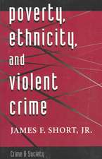 Poverty, Ethnicity, And Violent Crime