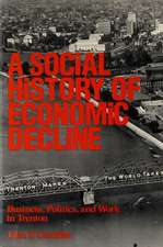 Social History of Economic Decline: Business, Politics, and Work in Trenton