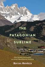 The Patagonian Sublime: The Green Economy and Post-Neoliberal Politics