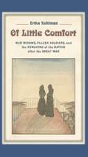 Of Little Comfort – War Widows, Fallen Soldiers, and the Remaking of the Nation after the Great War