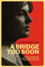 Saylor, E: Bridge Too Soon