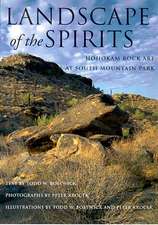 Landscape of the Spirits: Hohokam Rock Art at South Mountain Park