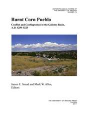 Burnt Corn Pueblo: Conflict and Conflagration in the Galisteo Basin, A.D. 1250–1325