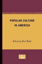 Popular Culture in America