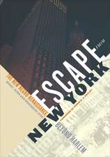 Escape from New York: The New Negro Renaissance beyond Harlem