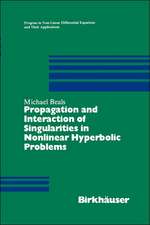 Propagation and Interaction of Singularities in Nonlinear Hyperbolic Problems