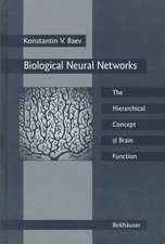 Biological Neural Networks: Hierarchical Concept of Brain Function