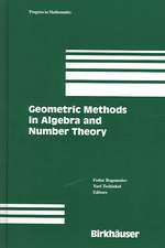 Geometric Methods in Algebra and Number Theory