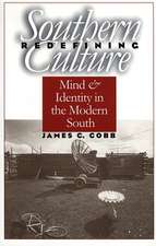 Redefining Southern Culture: Mind and Identity in the Modern South