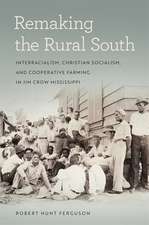 Remaking the Rural South