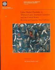 Labor Market Flexibility in Thirteen Latin American Countries and the United States