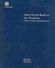 State-Owned Banks in the Transition: Origins, Evolution, and Policy Responses