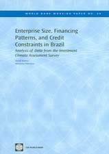 Enterprise Size, Financing Patterns, and Credit Constraints in Brazil: Analysis of Data from the Investment Climate Assessment Survey