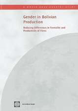 Gender in Bolivian Production: Reducing Differences in Formality and Productivity of Firms