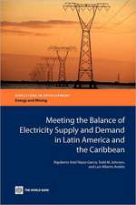 Meeting the Balance of Electricity Supply and Demand in Latin America and the Caribbean