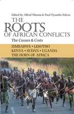 The Roots of African Conflicts: The Causes and Costs