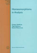 HOMEOMORPHISMS IN ANALYSIS