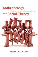 Anthropology and Social Theory – Culture, Power, and the Acting Subject