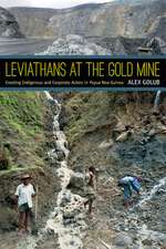 Leviathans at the Gold Mine – Creating Indigenous and Corporate Actors in Papua New Guinea